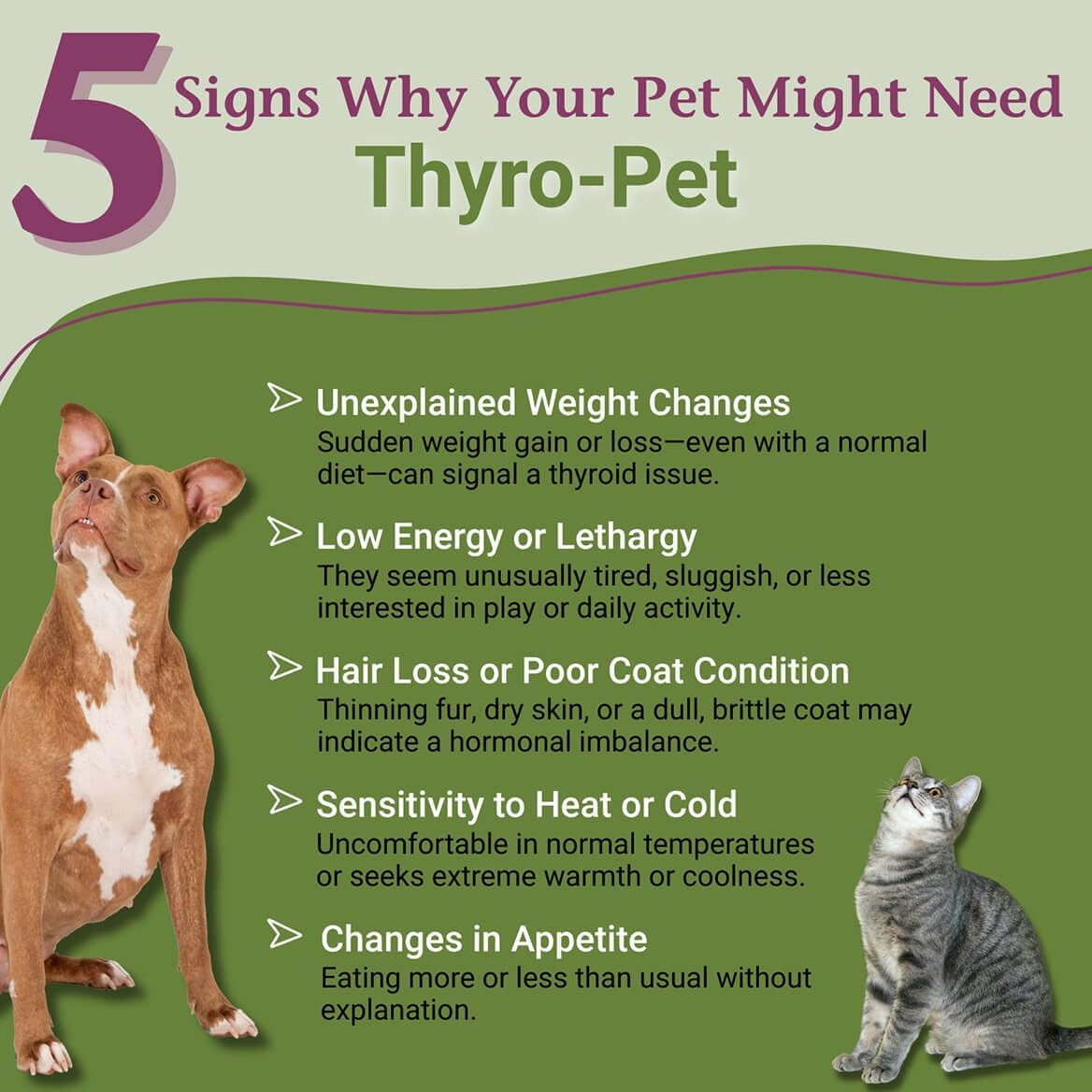 PetAlive Thyro-Pet – Herbal Thyroid Support Supplement for Dogs & Cats – 59 mL Liquid Tincture