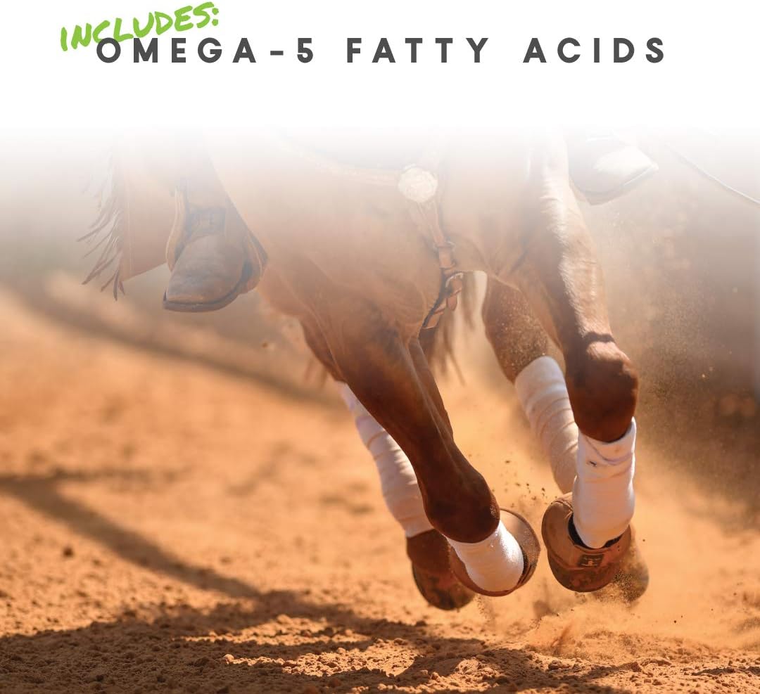 Manna Pro Cetyl-M Joint Supplement for Horses, Omega-5 Fatty Acids, Supports Mobility, Flexibility, and Joint Health (5.1 kg)