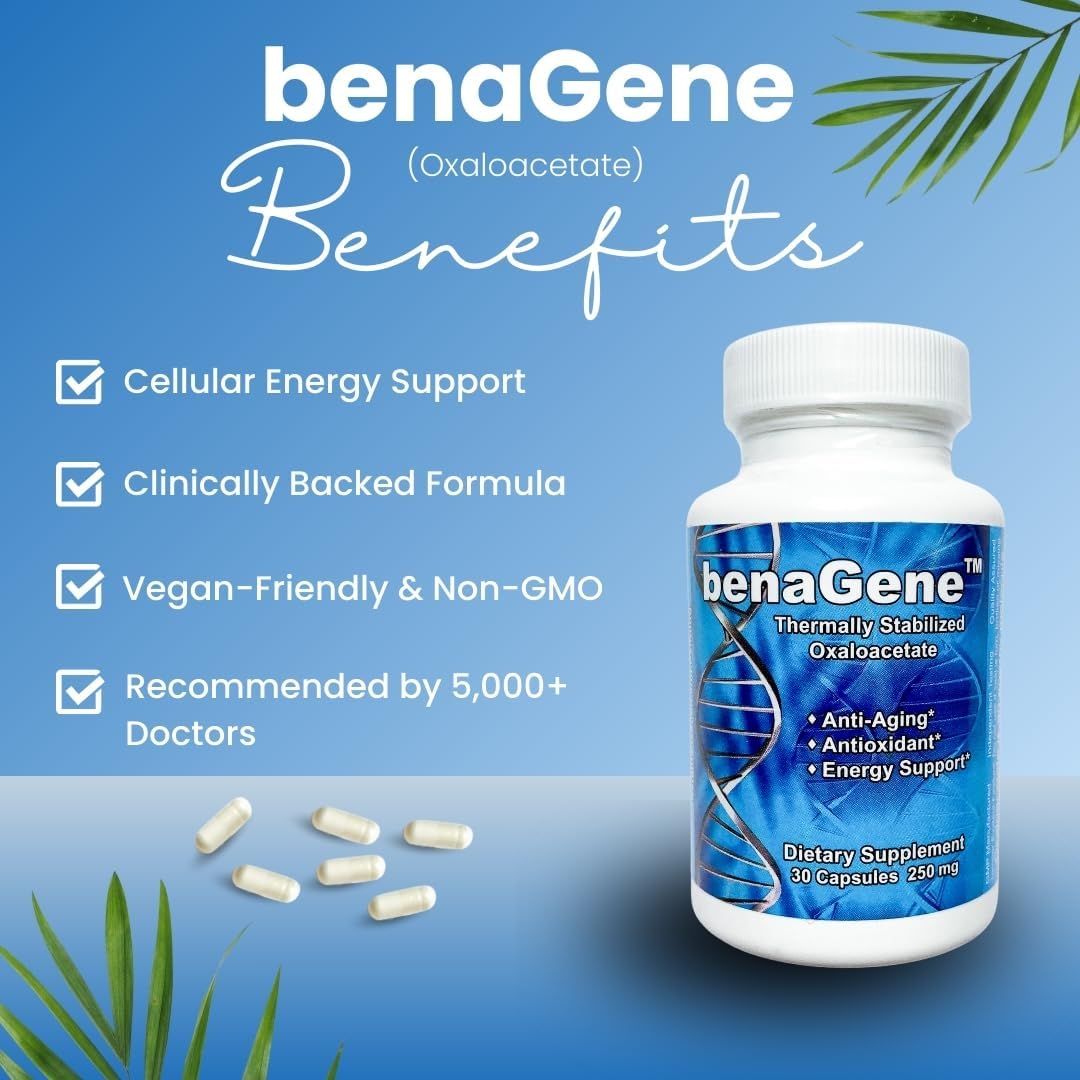 Benagene Oxaloacetate Supplement – Cellular Energy Support, 30 Servings - görsel 2