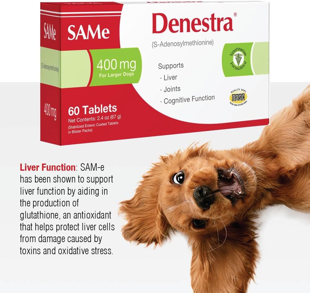 Denestra SAMe for Dogs – S-Adenosyl-L-Methionine (SAMe) – Liver, Joint & Cognitive Support for Dogs – Promotes Brain Function & Mobility – Vet-Approved Formula – 200 mg – 60 Tablets