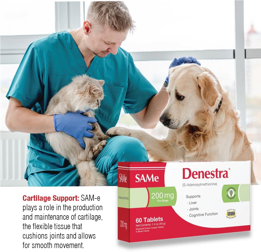 Denestra SAMe for Dogs – S-Adenosyl-L-Methionine (SAMe) – Liver, Joint & Cognitive Support for Dogs – Promotes Brain Function & Mobility – Vet-Approved Formula – 200 mg – 60 Tablets