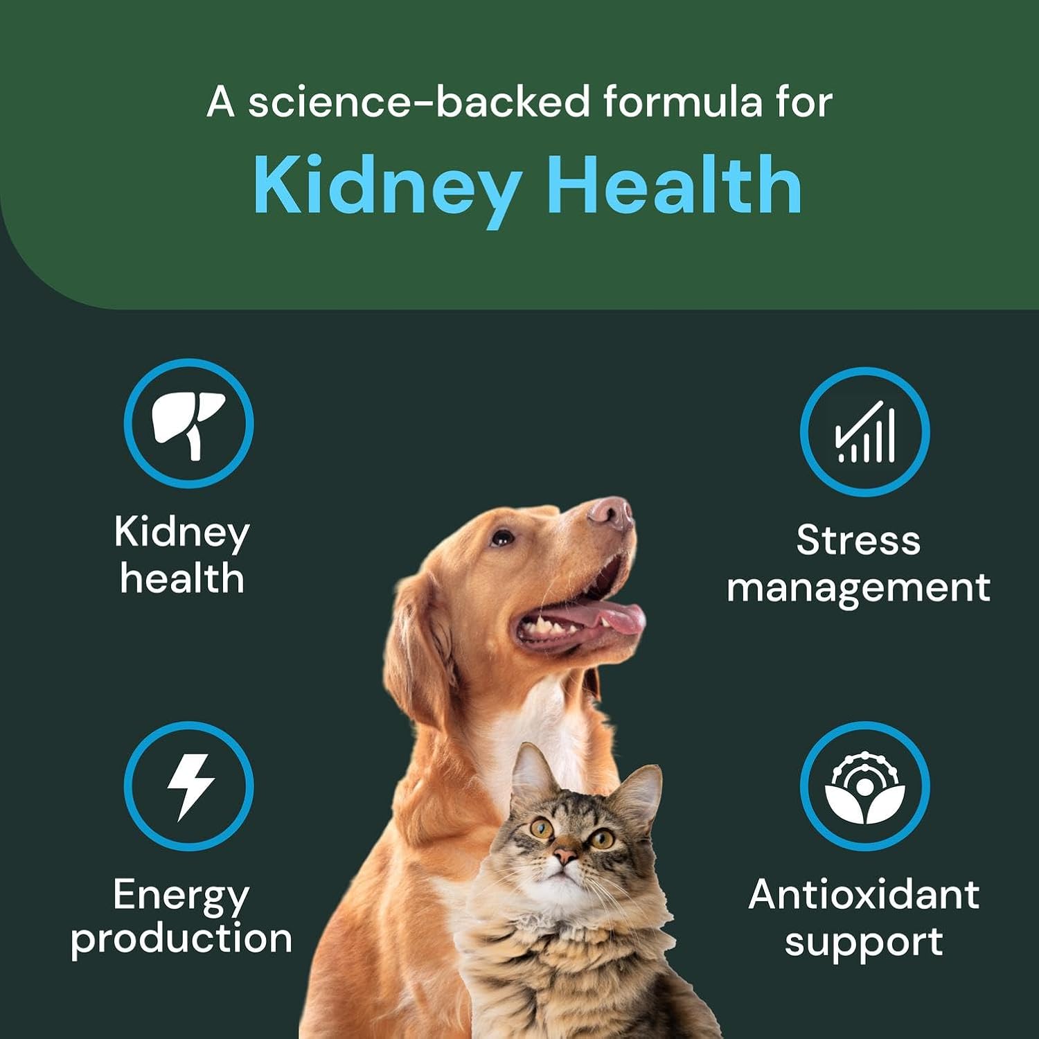 Vetriscience Veterinary Strength Kidney Health Chews - Balanced Kidney Support for Pets - Feline & Canine Renal Support - Holistic Formula - Chicken Liver Flavour - 60 Count