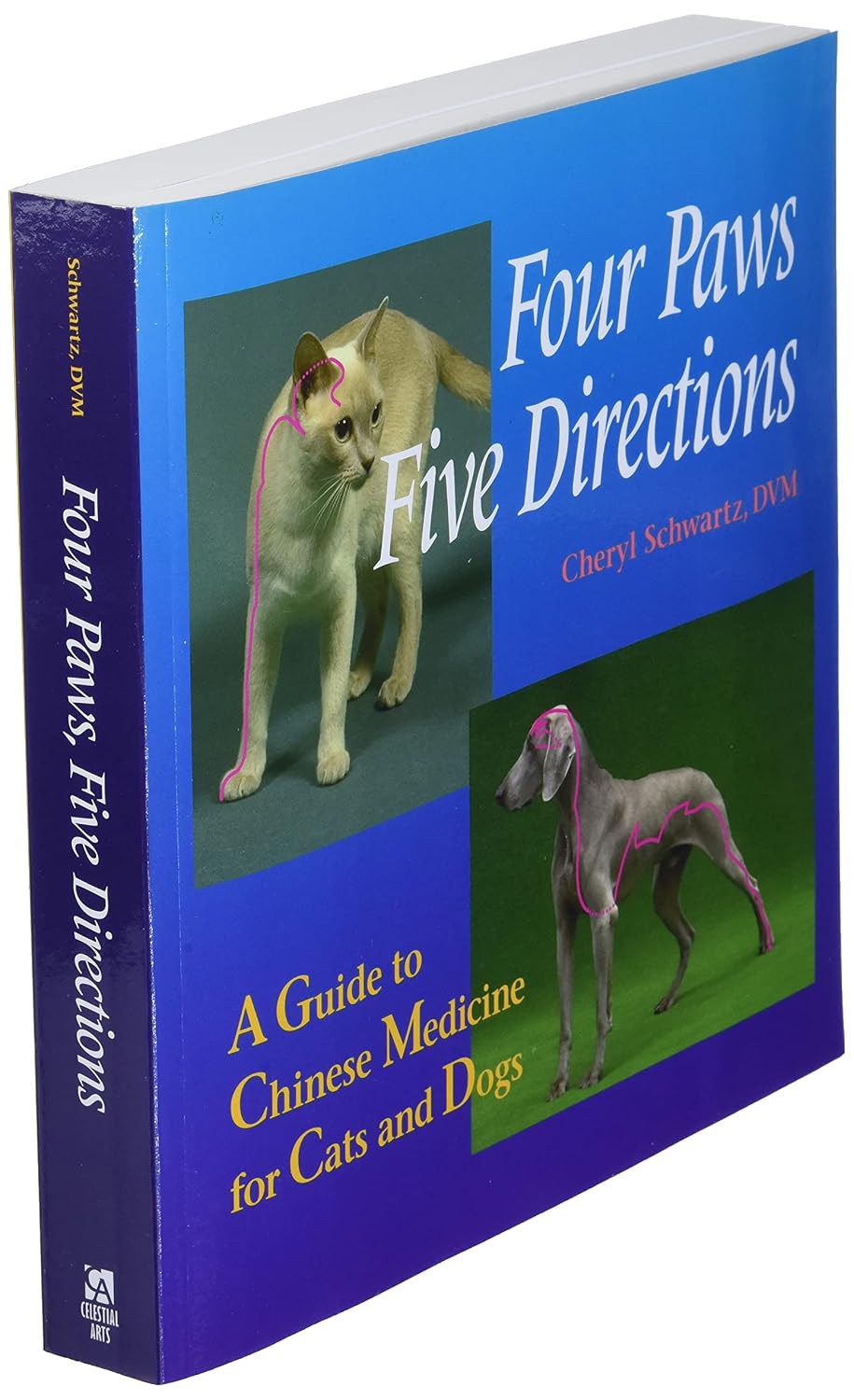 Four Paws, Five Directions: Chinese Medicine for Cats and Dogs
