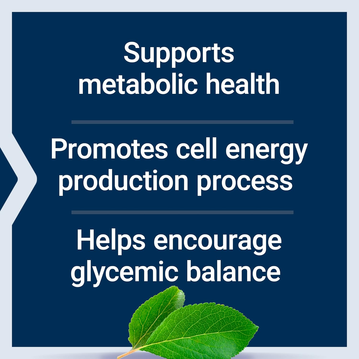 Life Extension Vanadyl Sulphate, Trace Mineral Supplement for Glycemic Balance and Metabolic Health – 100 Tablets