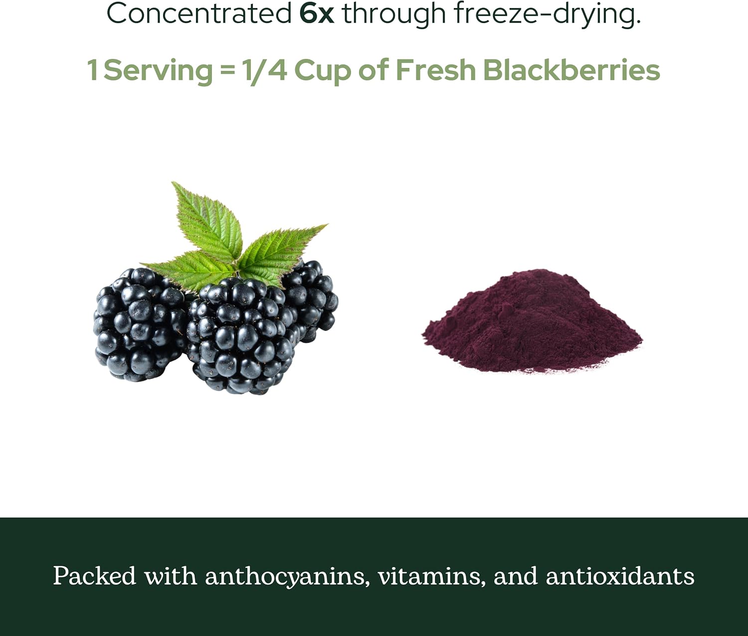 Eclectic Herb BlackBerry Powder – Freeze-Dried Superfood Supplement (90 g)