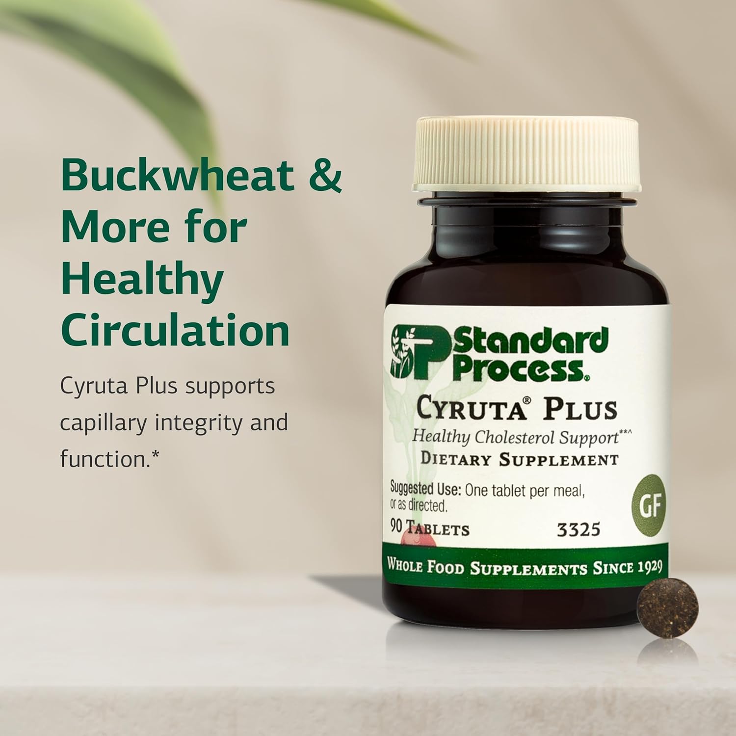 Standard Process Cyruta Plus - Capillary and Circulation Support - 90 Tablets