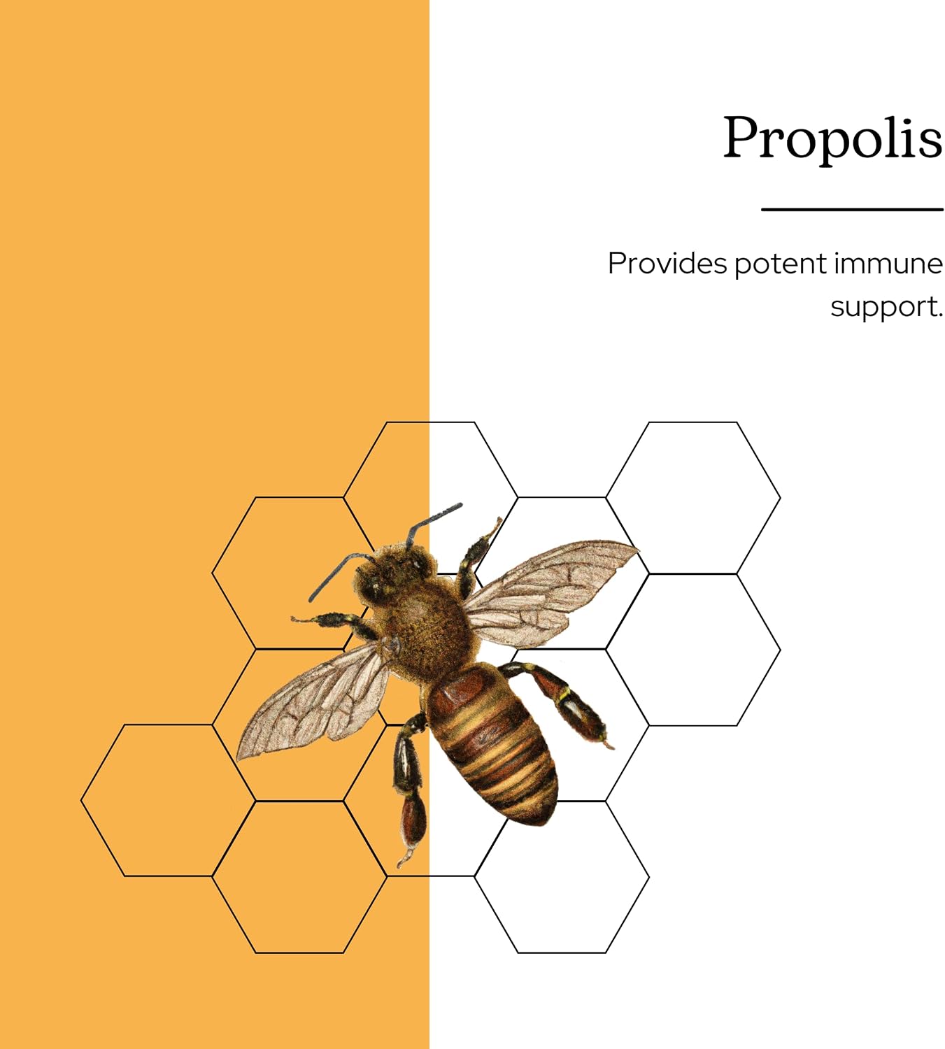 Eclectic Institute Propolis G - Orange, 2 fl oz (60 mL)
