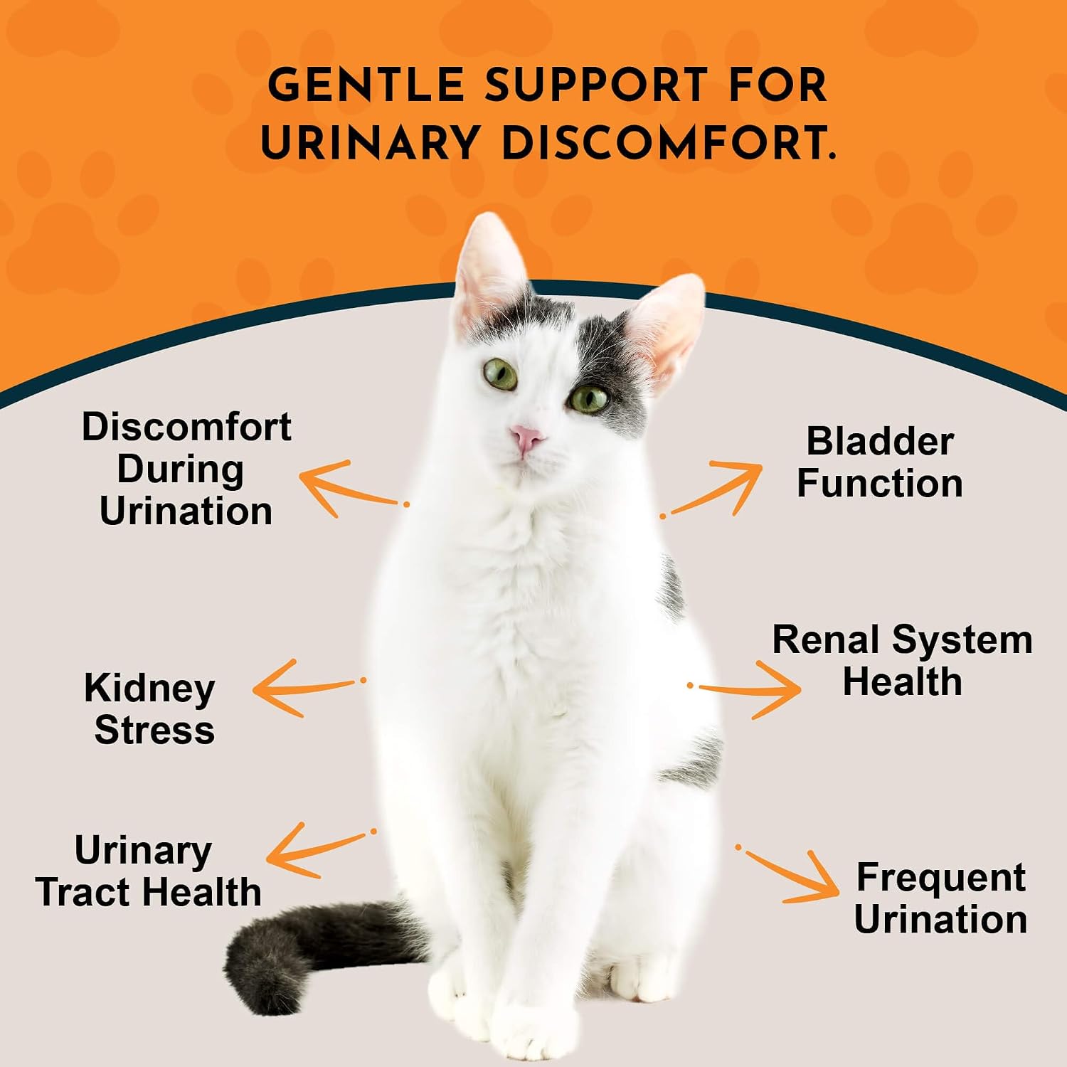 Animal Essentials Tinkle Tonic - Dog & Cat Urinary Tract Support, Kidney Supplement, Supports Urinary Tract, Bladder Health for Pets, with Marshmallow - 30 ml