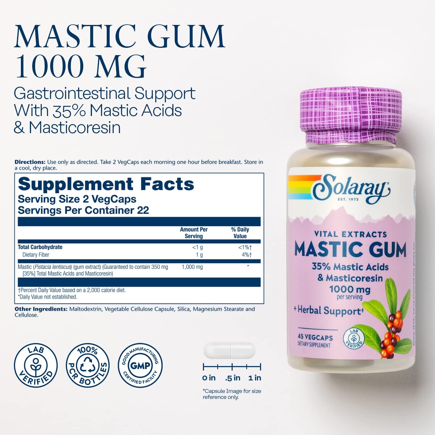 SOLARAY Mastic Gum Extract 1000 mg - 45 Vegetarian Capsules - Digestive Health Support