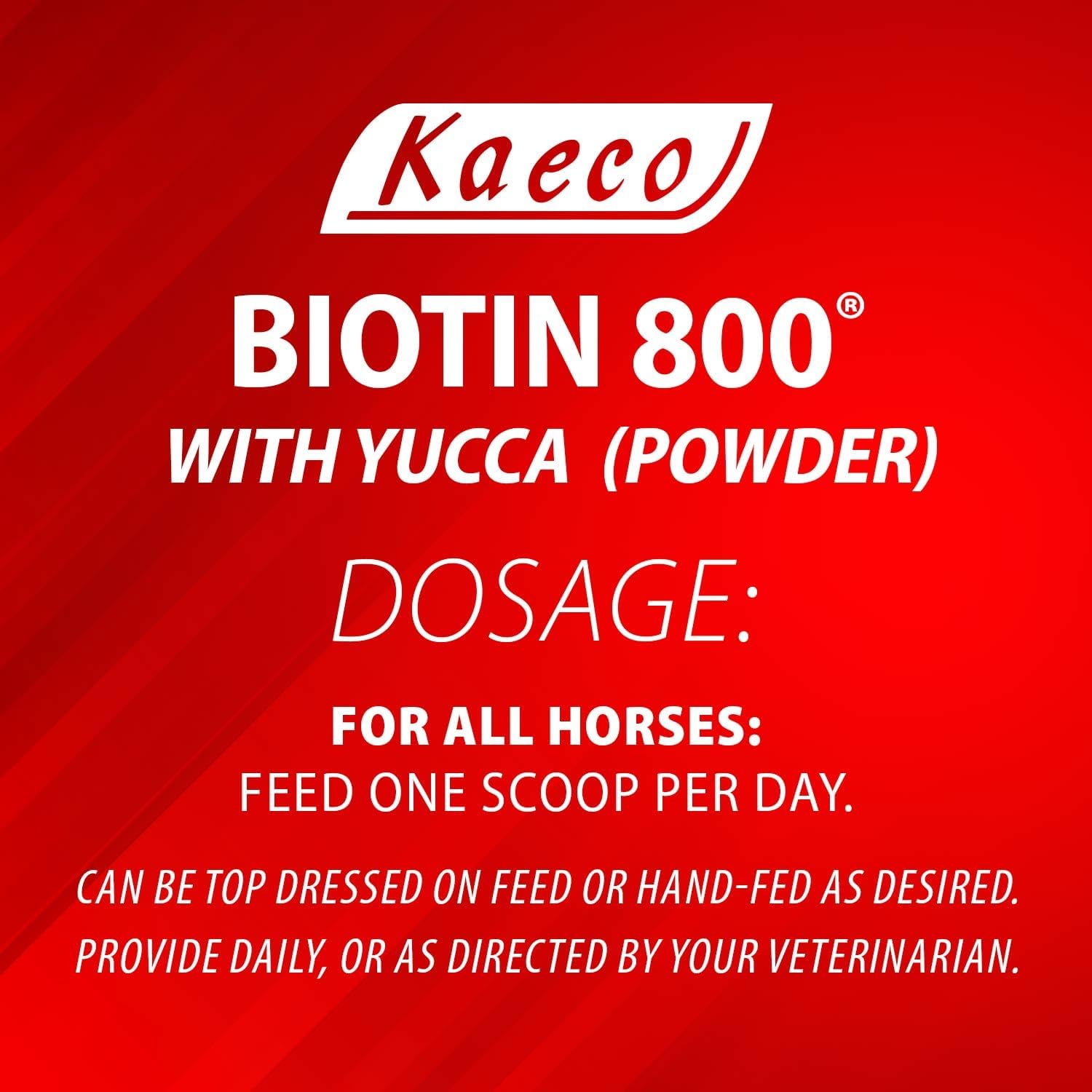 Biotin 800 Powder by Kaeco - görsel 3