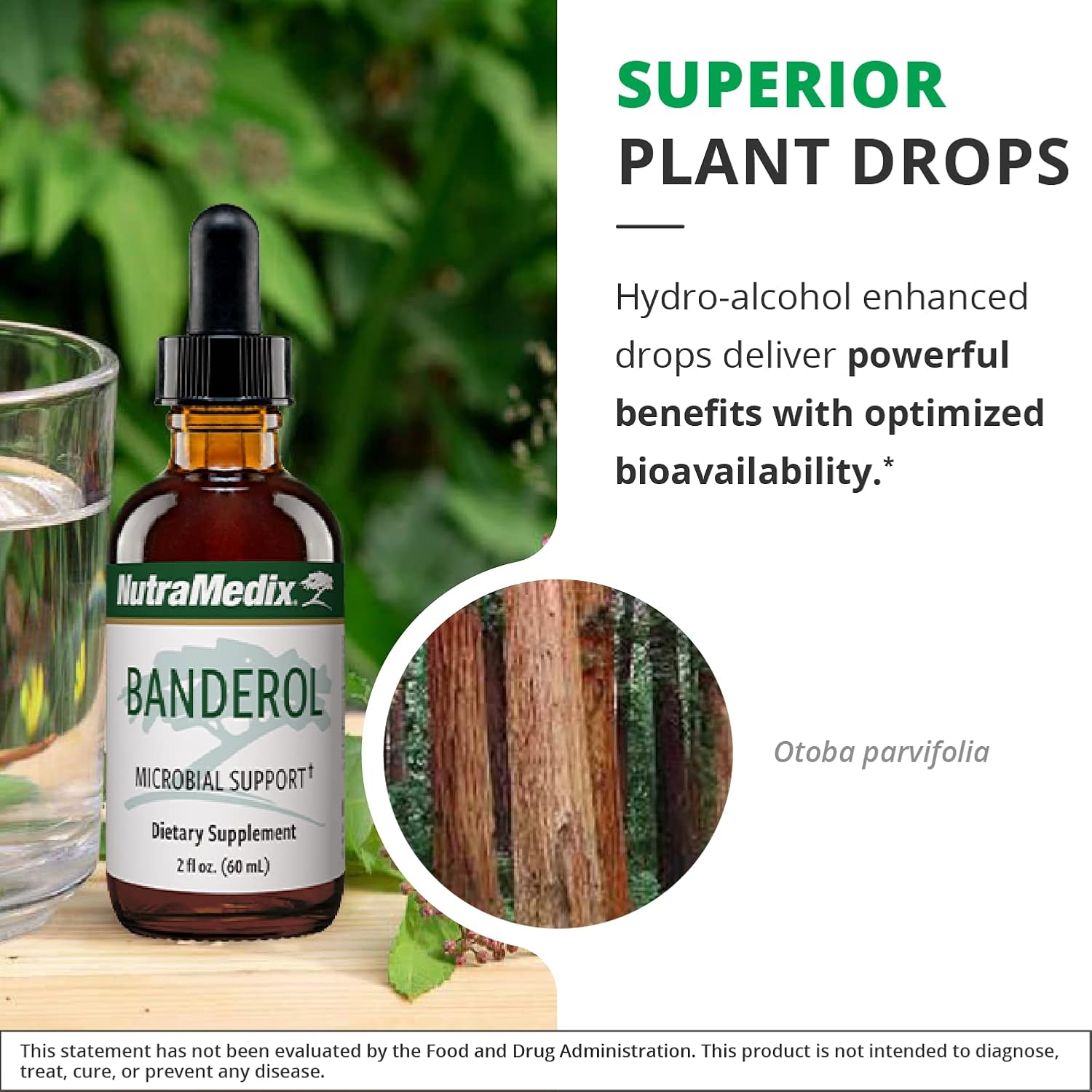 NutraMedix Banderol - Daily Immune Support Supplement - Vegan Tincture - 30 mL (1 fl oz)