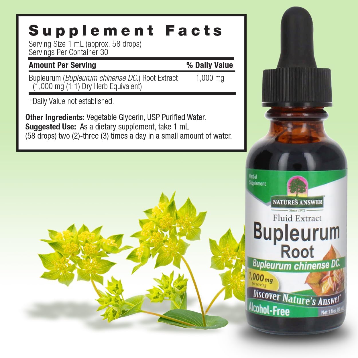 Nature's Answer Bupleurum Root - Natural Herbal Supplement - 1000 mg (30 mL)