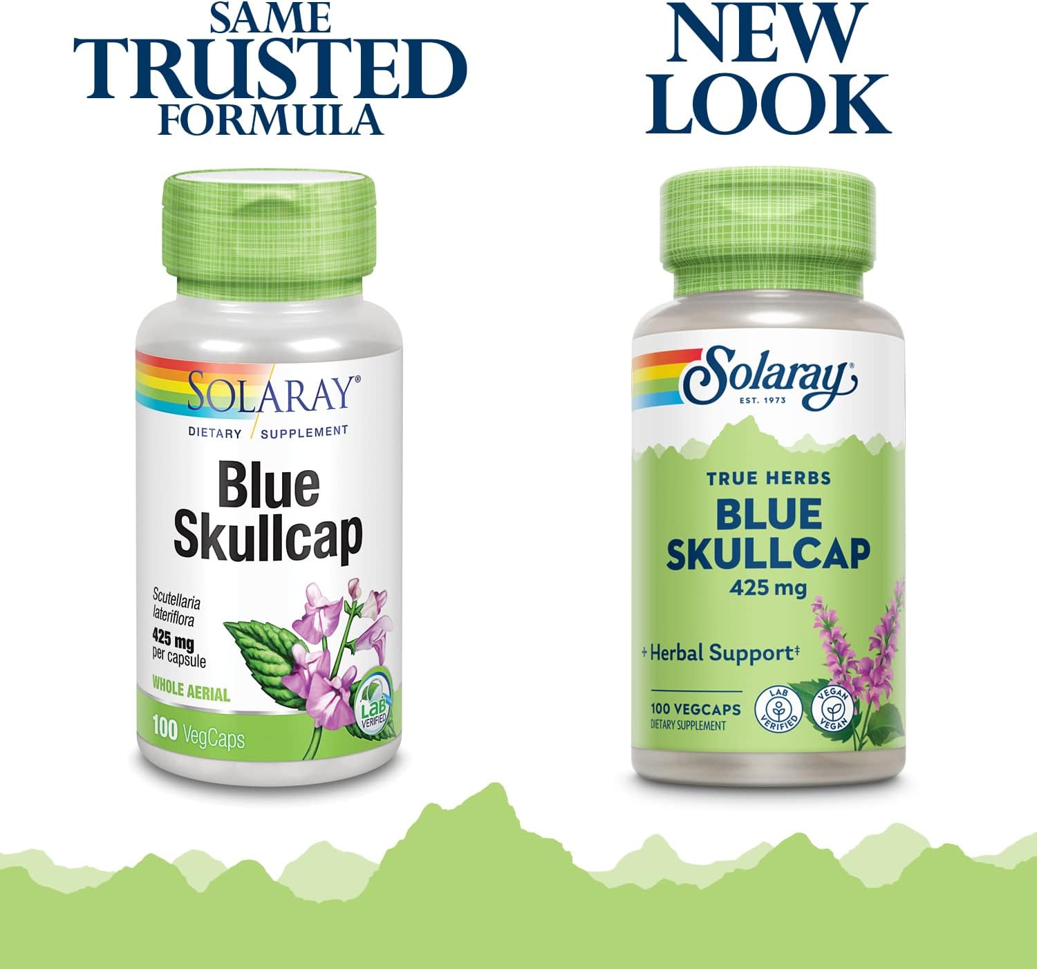 SOLARAY Blue Skullcap Supplement - 425 mg Skull Cap Extract Capsules for Women & Men, Whole Aerial, Non-GMO, Lab Verified Formula - 100 Count VegCaps