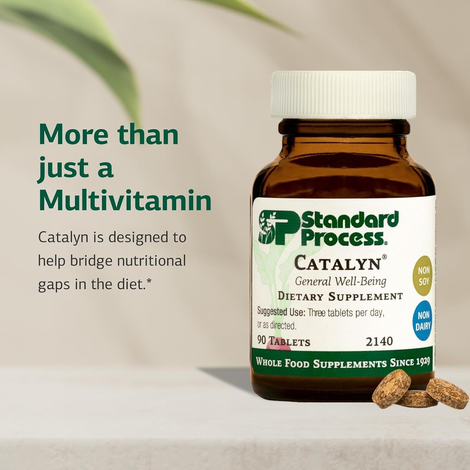 Standard Process Catalyn - General Wellness Tablets (90 Tablets)