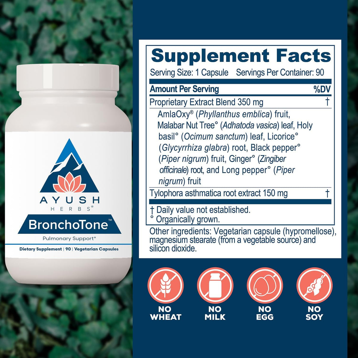 Ayush Herbs Bronchotone – Bronchial Support Supplement - görsel 3