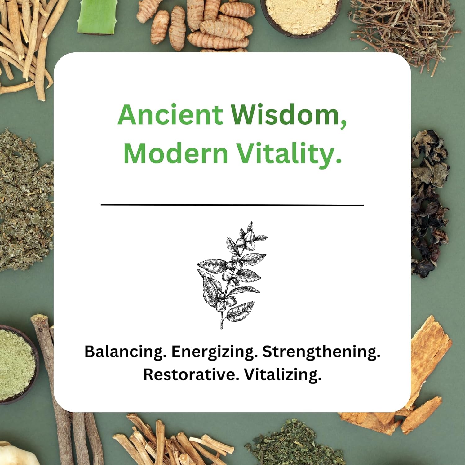 Paradise Herbs Imperial Adaptogens - Stress Support, Focus & Energy - 60 Vegetarian Capsules
