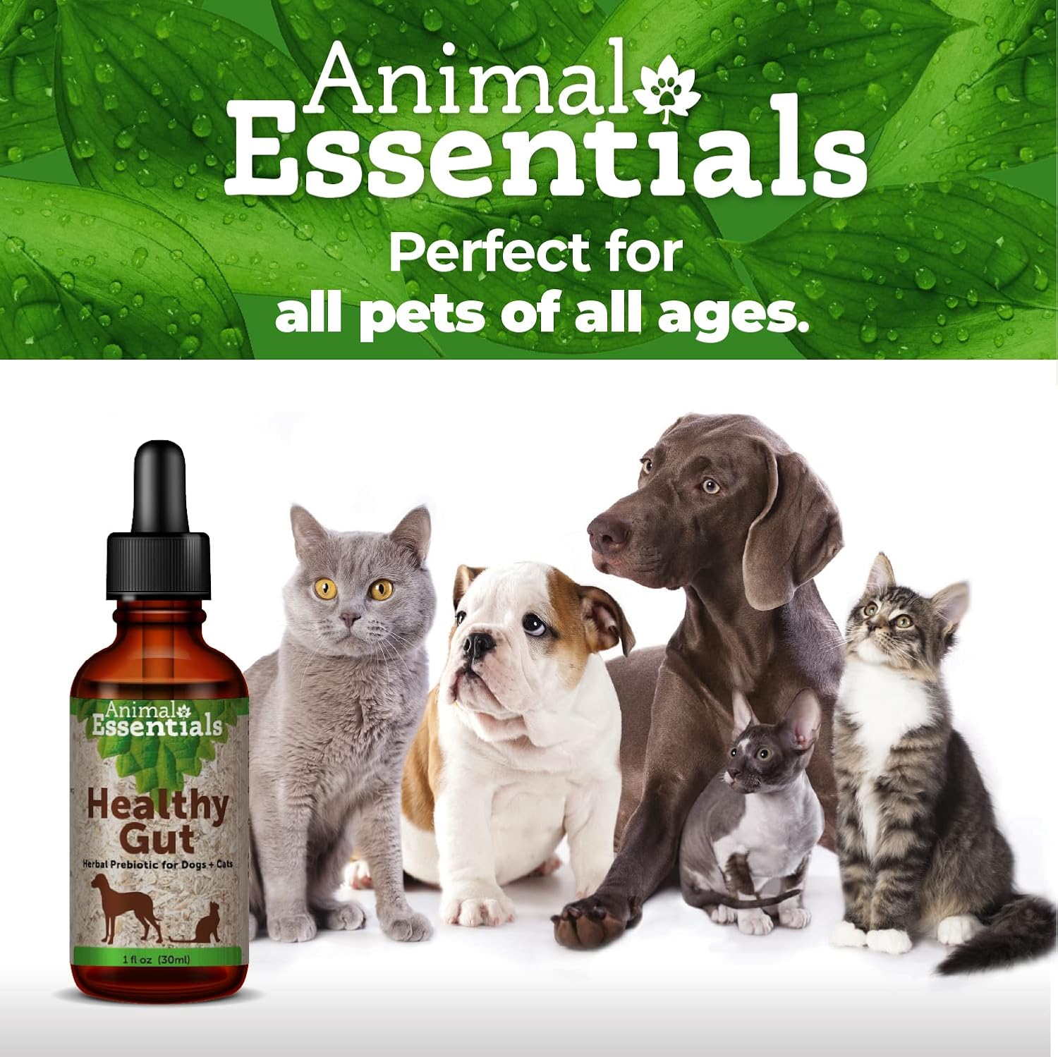 Animals' Apawthecary Prebiotic Plus (30 mL) - görsel 8