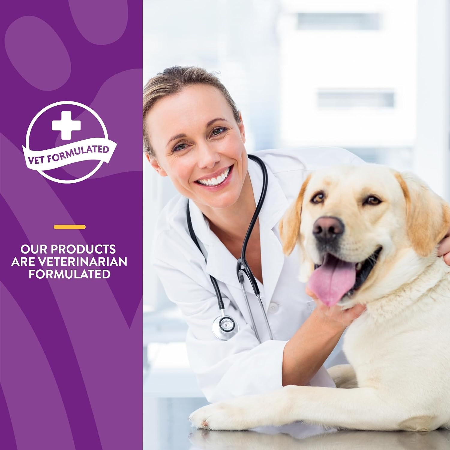 NaturVet VitaPet Senior Daily Vitamins Plus Glucosamine for Dogs - Chewable Multivitamin Supplement (180 Count)