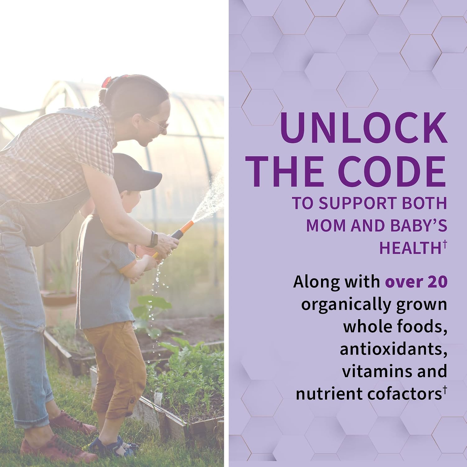 Garden of Life Vitamin Code Raw Prenatal Multivitamin - 30 Day Supply
