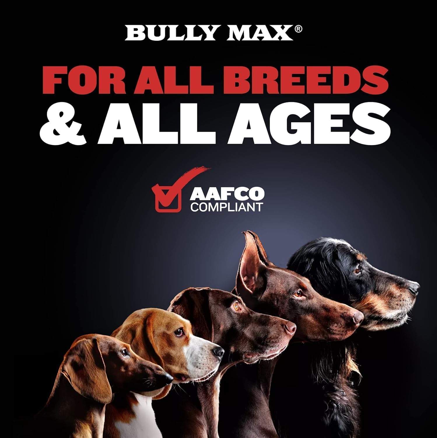 Bully Max 2-in-1 Muscle Builder Chewable Tablets for Dogs - Multivitamin with ZMA