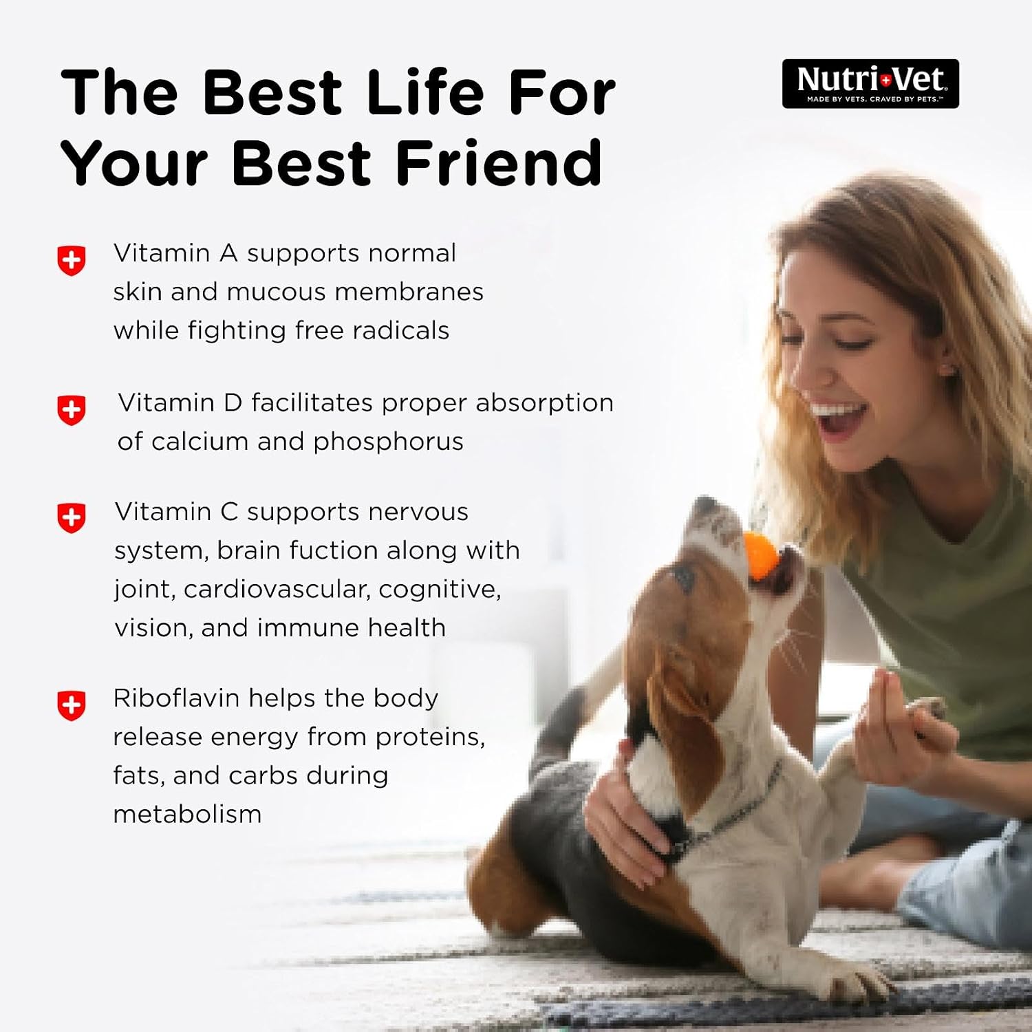 Nutri-Vet Multi-Vite Chewables for Adult Dogs - Daily Multivitamin with Minerals, 60 Count