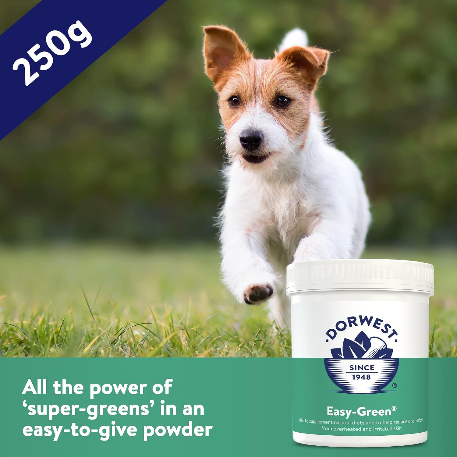 Easy Green Powder for Dogs and Cats (250 g)
