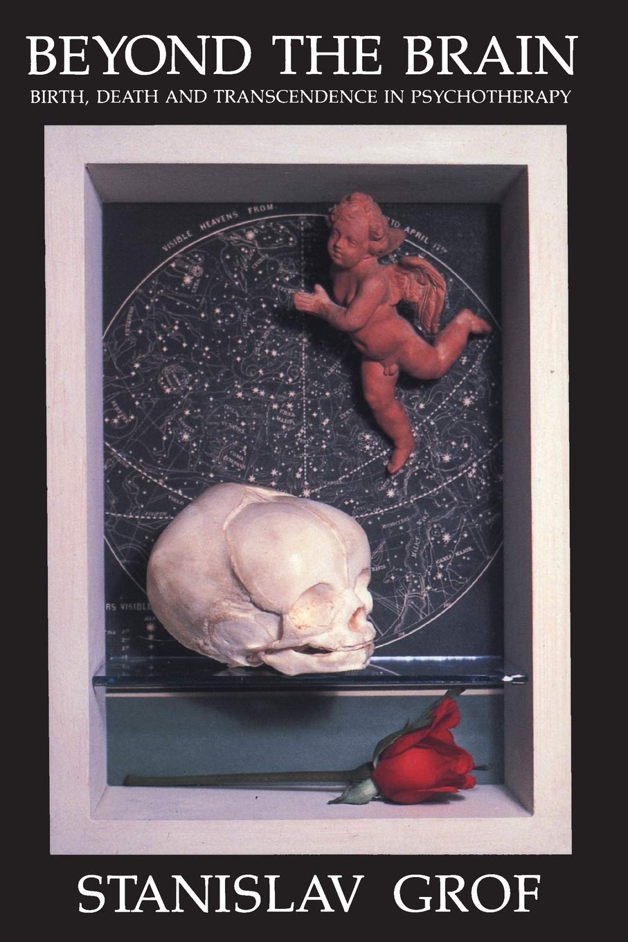 Beyond the Brain: Birth, Death, and Transcendence in Psychotherapy (SUNY Series in Transpersonal & Humanistic Psychology)