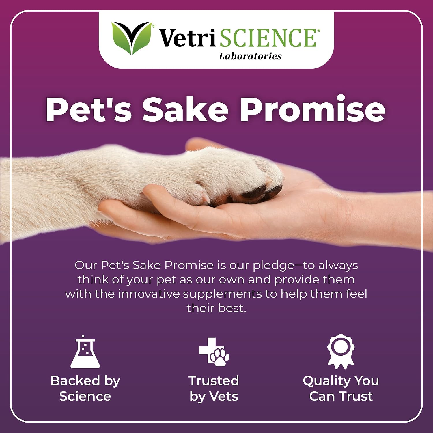 VetriScience Immunity Health Immune Plus Supplement for Medium and Large Breed Dogs – Easy-Open Capsules with Antioxidants, CoQ10, and Vitamins (60 Count)