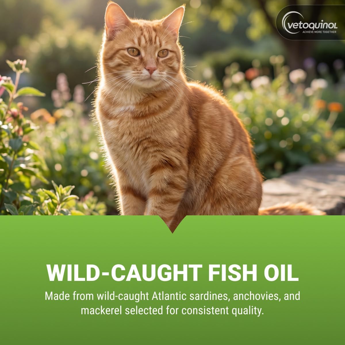 Vetoquinol Triglyceride Omega Fish Oil for Dogs and Cats – 250 Capsules