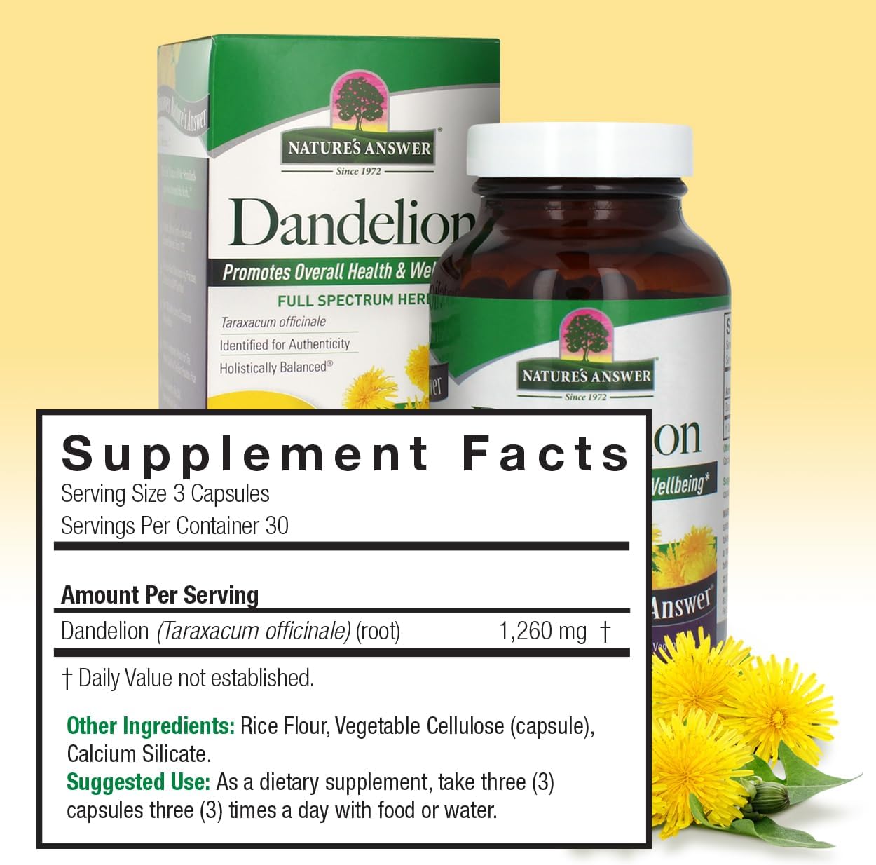 Nature's Answer Dandelion Root – 1,260 mg, 90 Vegetarian Capsules – Supports Healthy Liver Function and Digestion