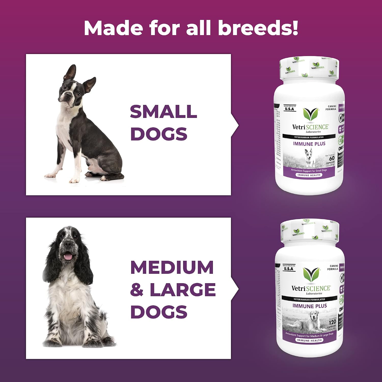 VetriScience Immunity Health Immune Plus Supplement for Medium and Large Breed Dogs – Easy-Open Capsules with Antioxidants, CoQ10, and Vitamins (60 Count)