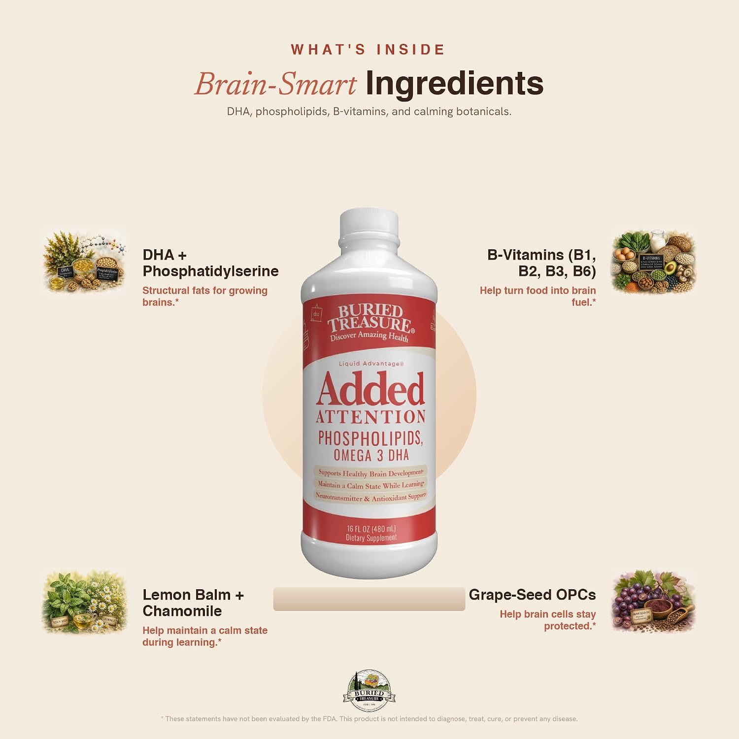 Buried Treasure Added Attention – Children's Learning Support with GABA, DHA, Vitamin B Complex & Herbal Blend