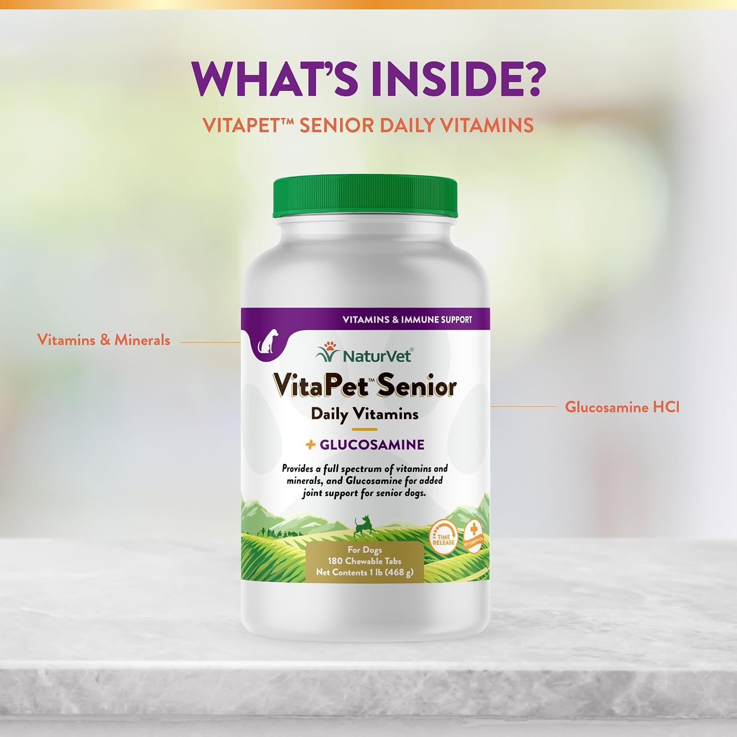 NaturVet VitaPet Senior Daily Vitamins Plus Glucosamine for Dogs - Chewable Multivitamin Supplement (180 Count)
