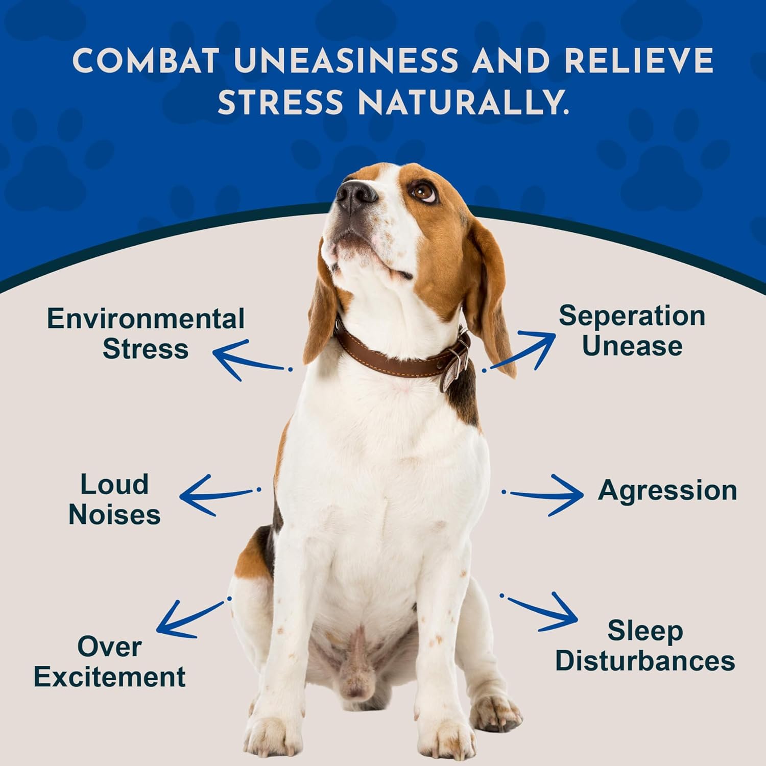 Tranquility Blend – Organic Valerian Root Calming Drops for Dogs and Cats