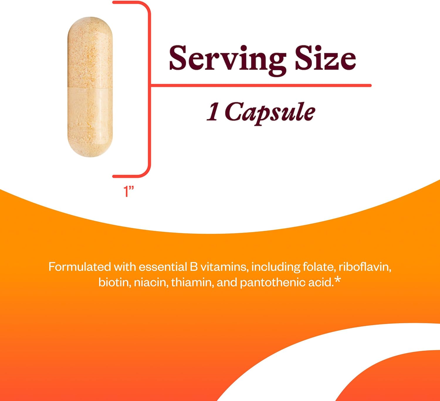 Seeking Health B Complex Plus – Vitamin B Supplement with Choline and Riboflavin – 100 Capsules