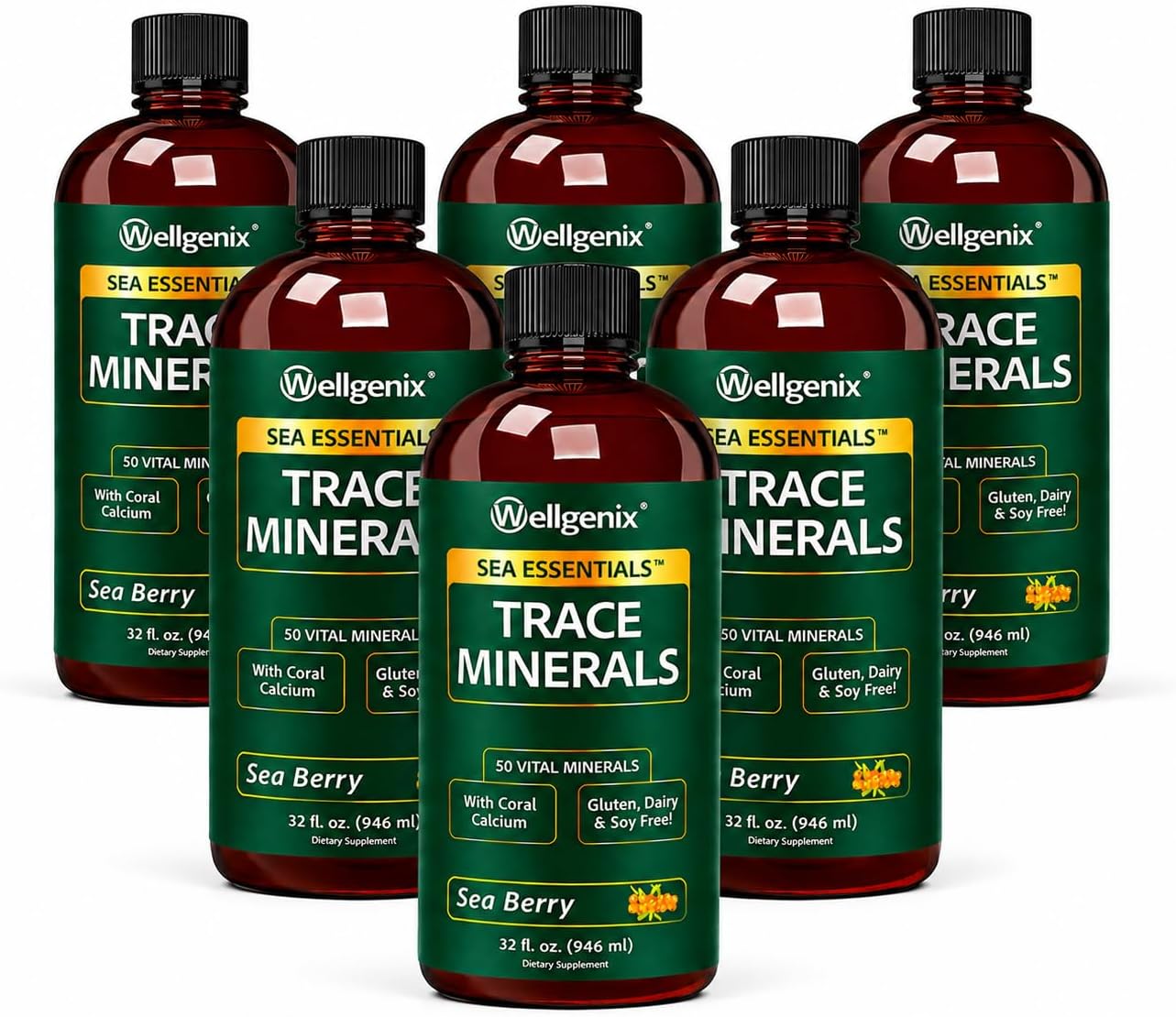Wellgenix Sea Essentials Liquid Trace Minerals, 6-Pack, 946 mL Each