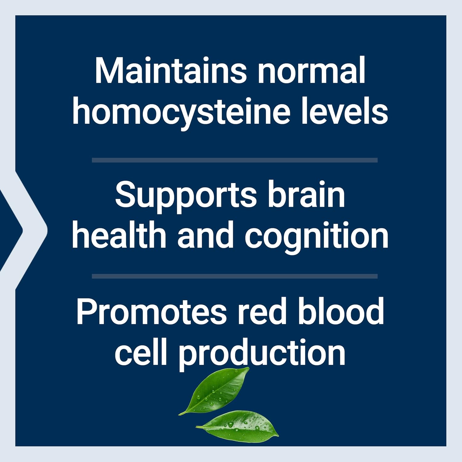 Life Extension Vitamin B12 Methylcobalamin 500mcg - Quick-Dissolving Lozenges for Energy & Brain Function - 100 Count