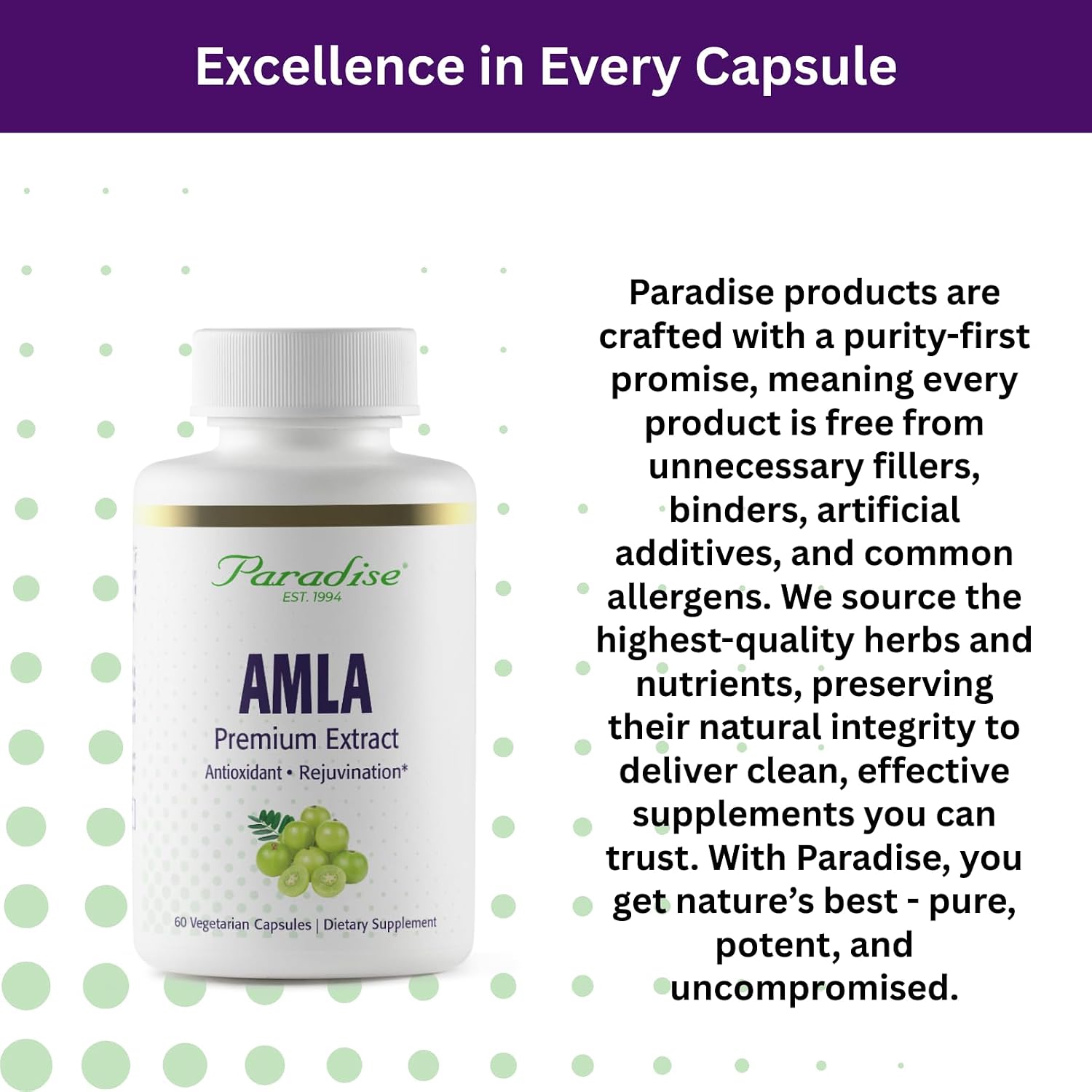 Paradise Herbs Amla, 250 mg Organic Whole Spectrum Vitamin C, Antioxidant, Superfood, Ayurvedic Supplement, 60 Vegetarian Capsules