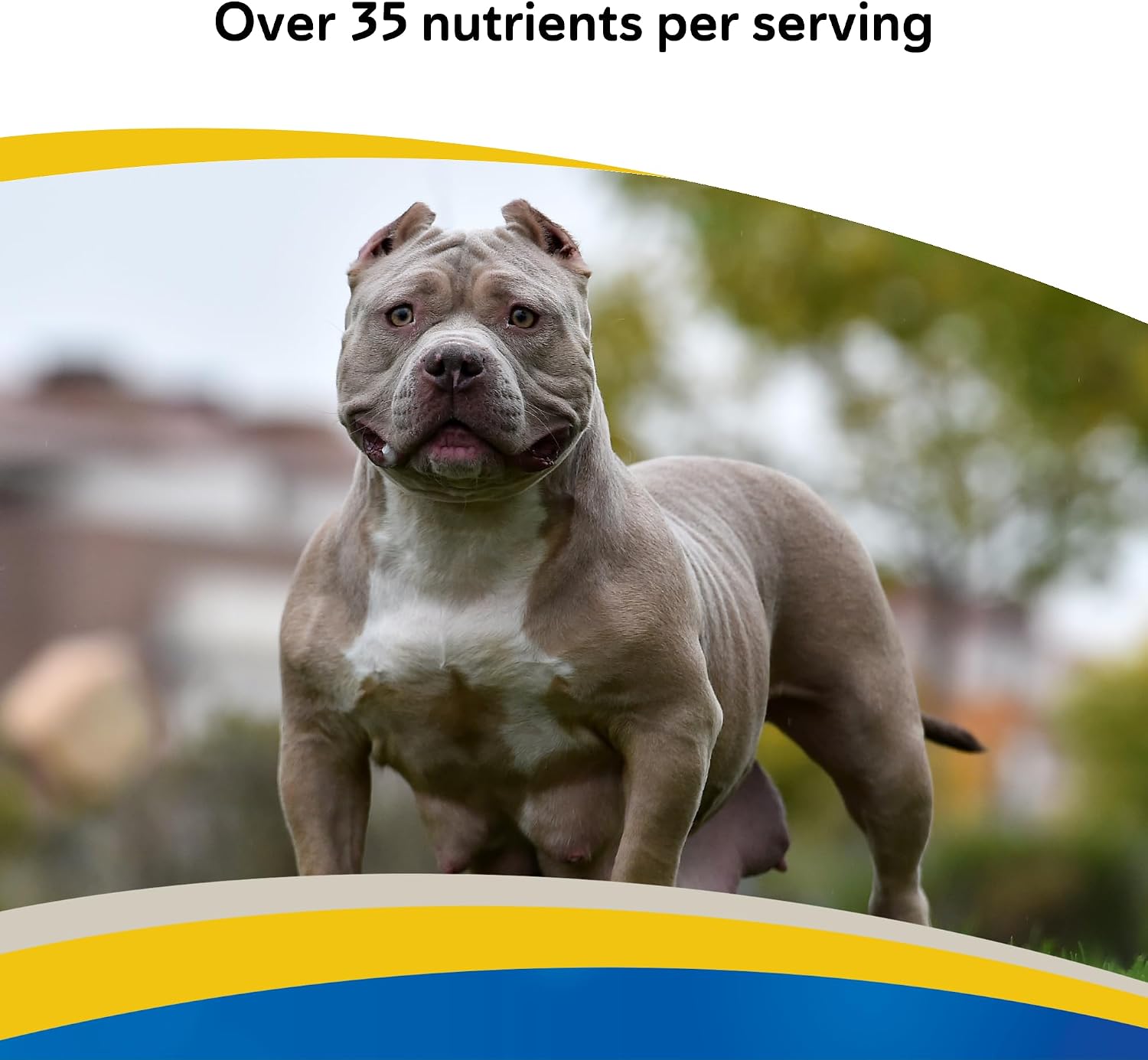 Doc Roy's Daily Care Extra Canine - Advanced Multivitamin Supplement for Dogs (365 Tablets)