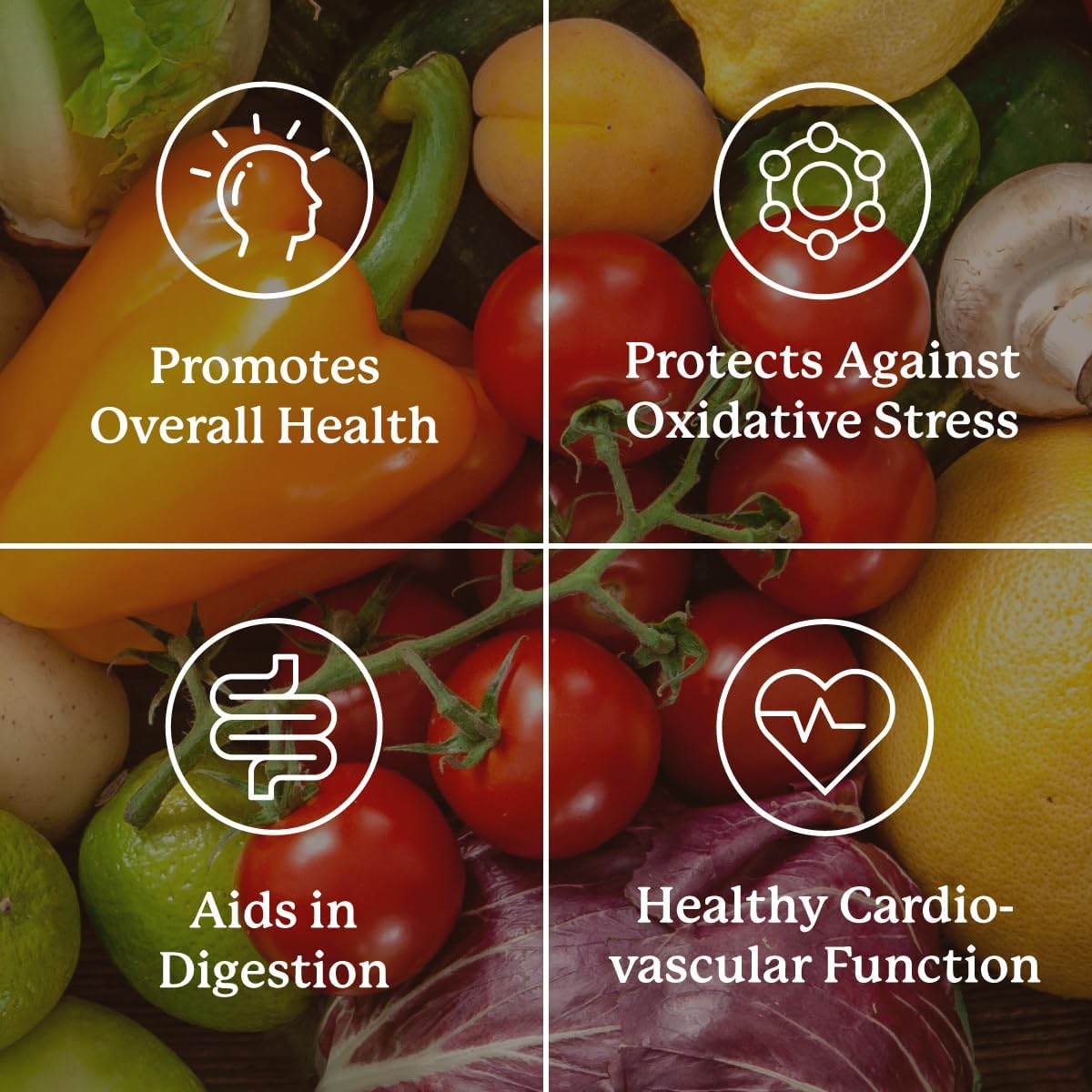 Nature's Sunshine Super Supplementary w/o Iron – Complete Multivitamin with Minerals, Herbs & Amino Acids