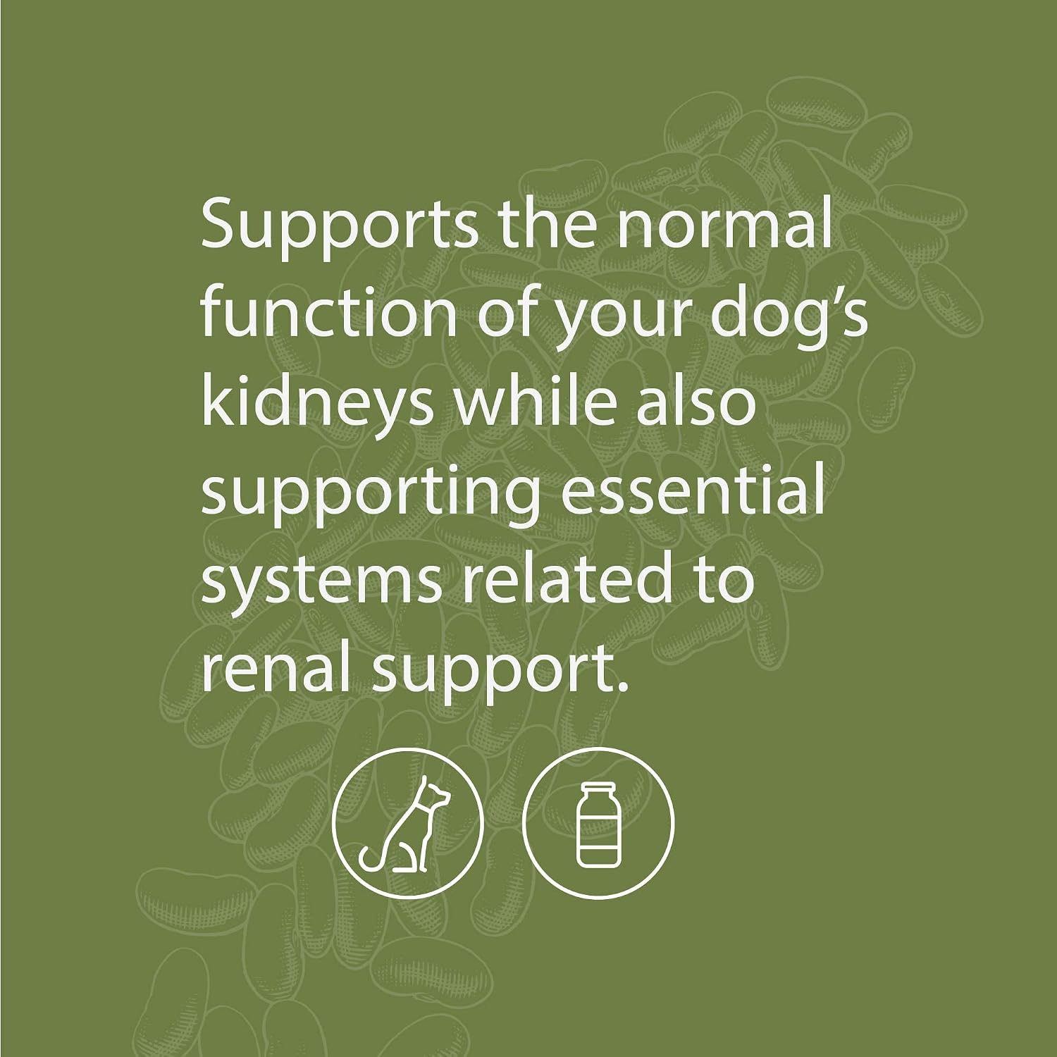 Standard Process Canine Renal Support – Dog Supplement for Kidney, Liver & Heart Health, 3.9 oz (110 g) Powder