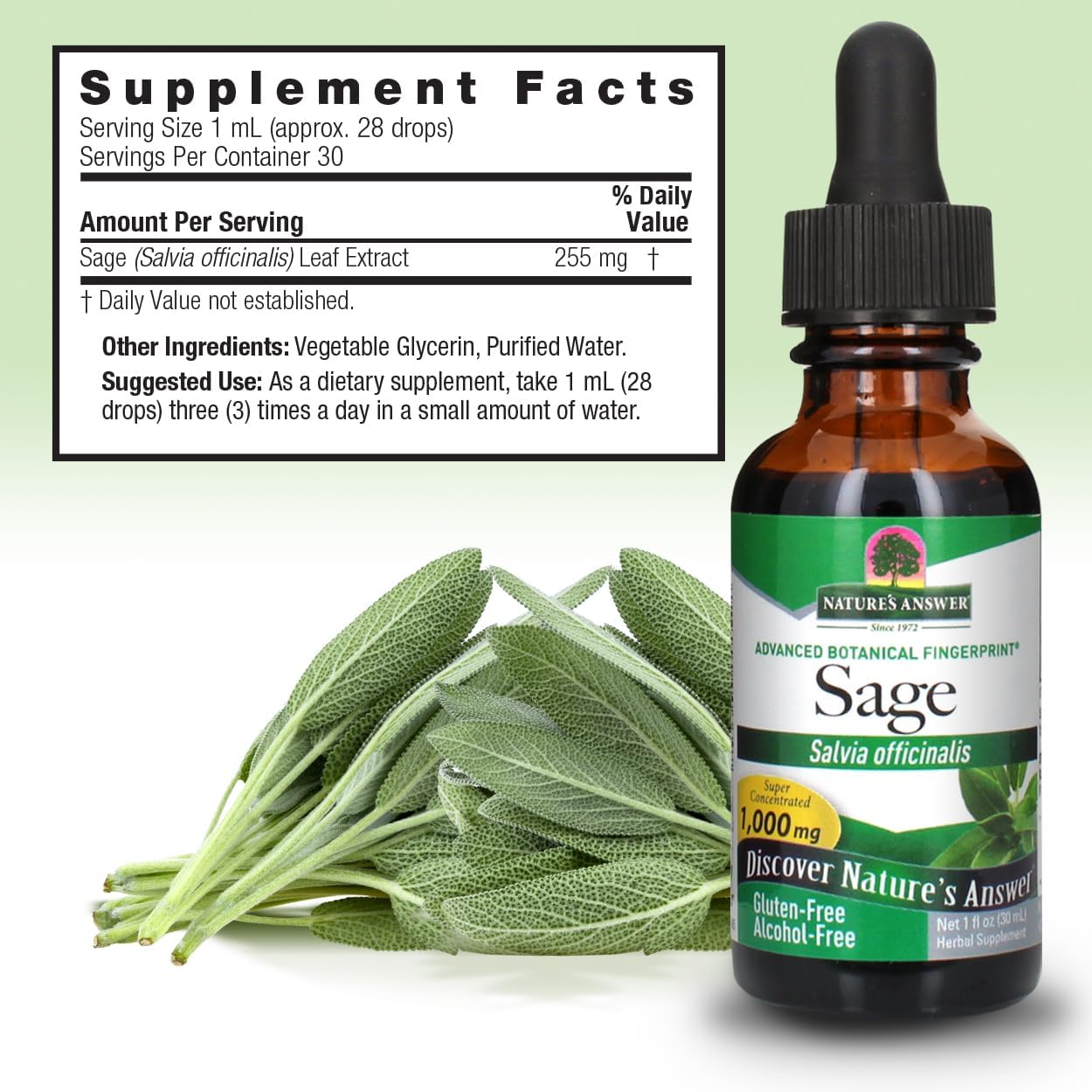 Nature's Answer Alcohol-Free Sage Leaf Liquid Extract, 1 fl oz (30 mL)