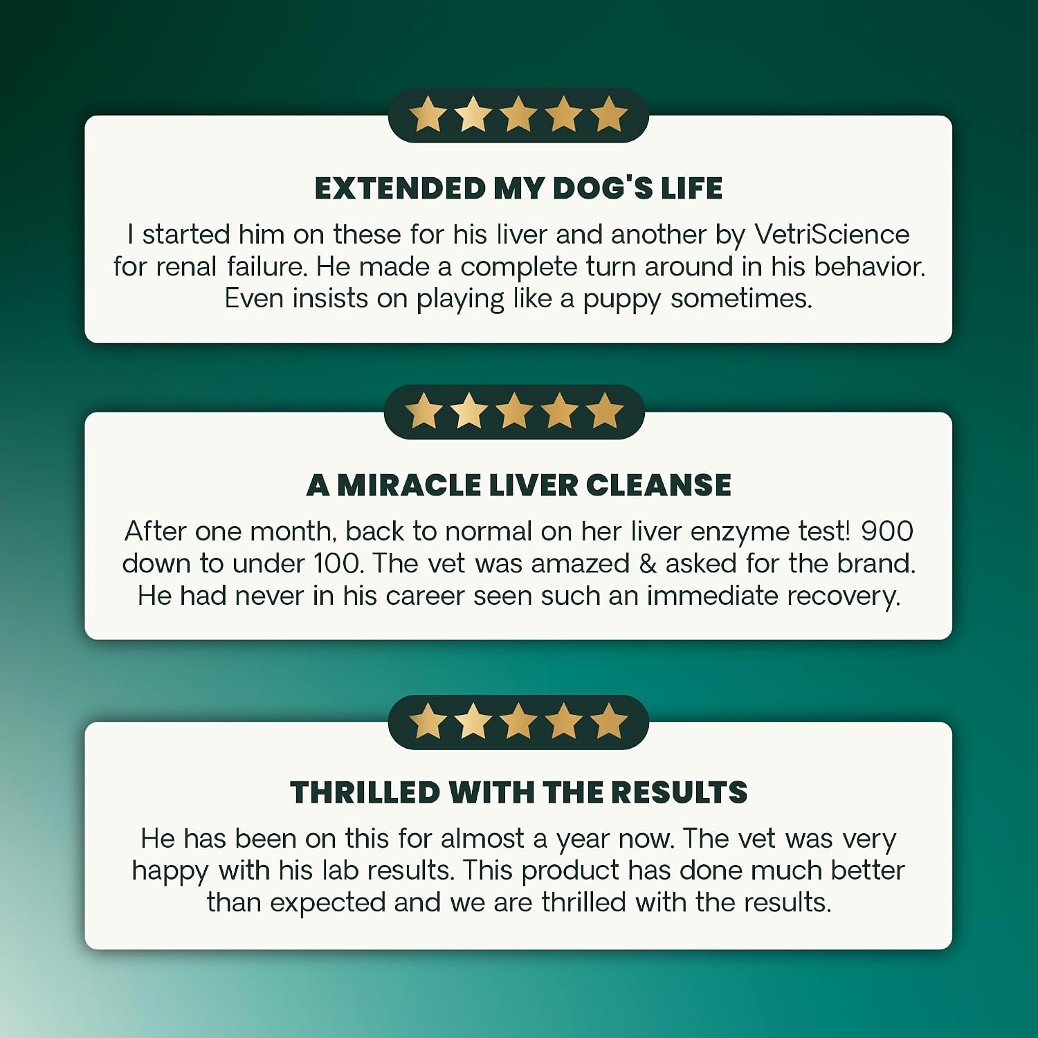 VetriScience Liver Health Chews with Milk Thistle - Liver Support Supplement for Dogs - 60 Count