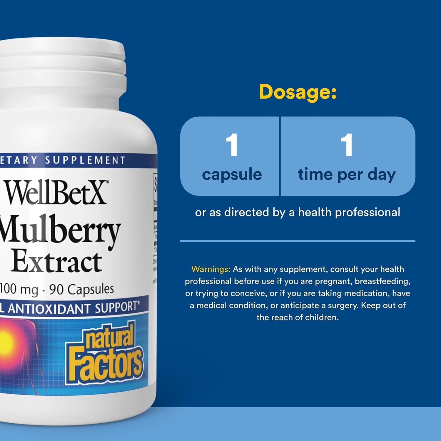 Natural Factors WellBetX Mulberry Extract - Standardized Moranoline for Carbohydrate Metabolism - 90 Capsules