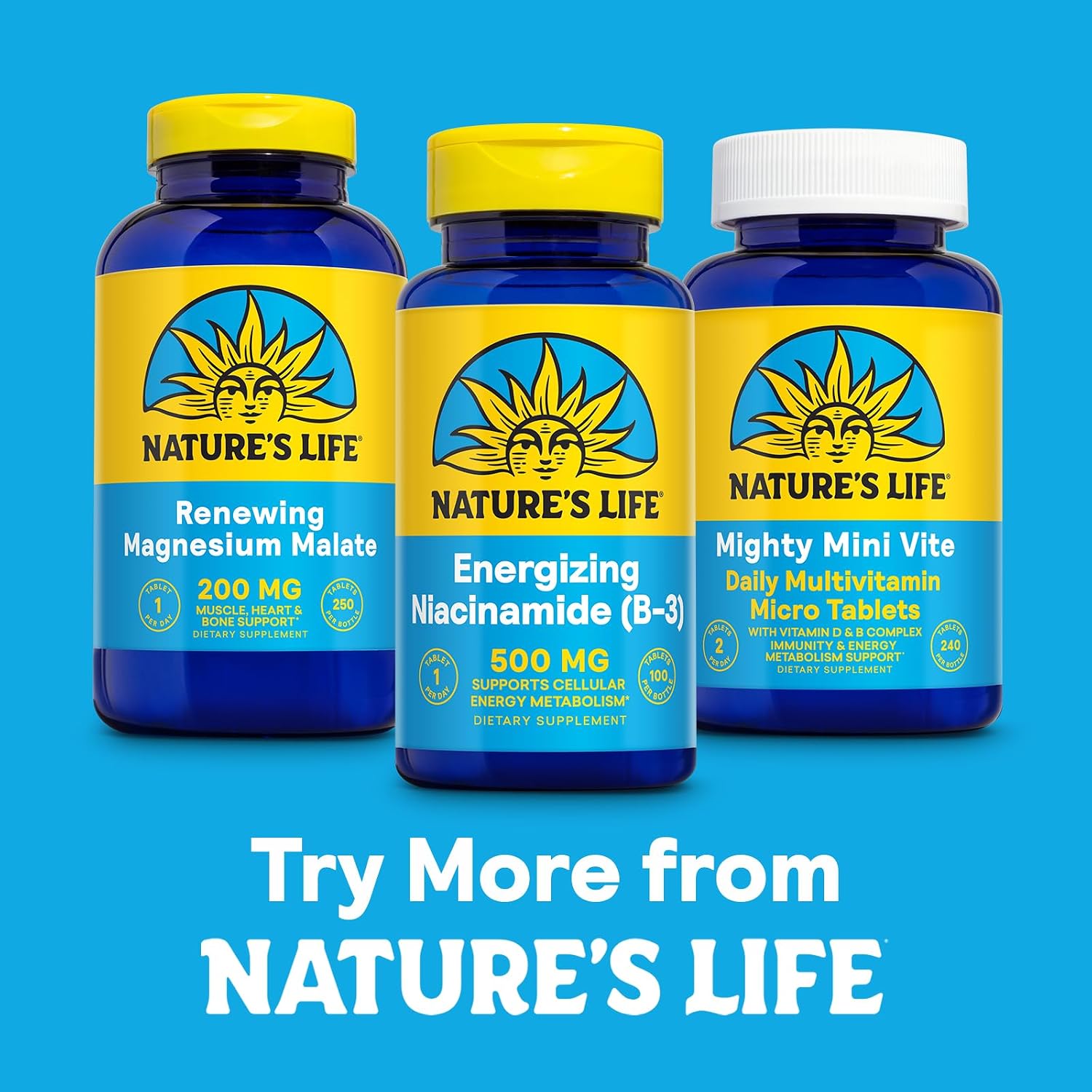 Nature's Life Niacinamide 500 mg – No-Flush Vitamin B3