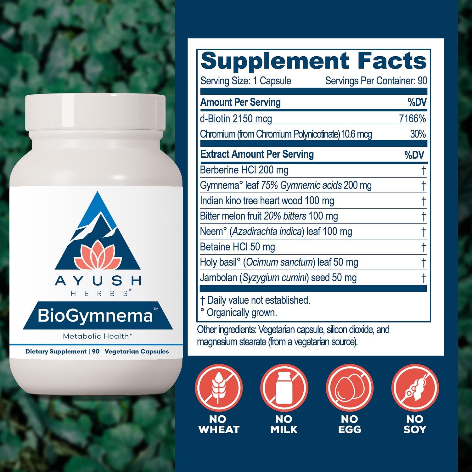 Ayush Herbs BioGymnema - Metabolic Support Supplement - görsel 3