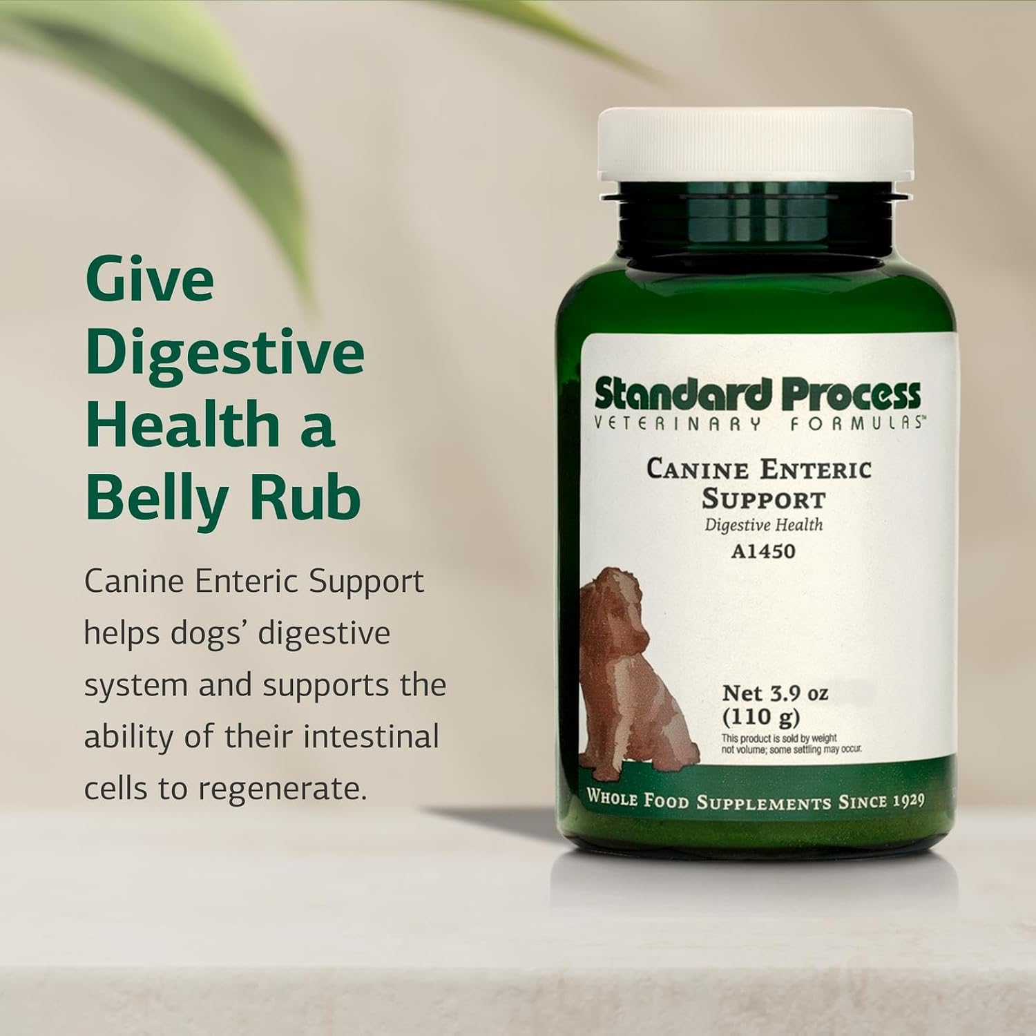 Standard Process Canine Enteric Support – Digestive Supplement for Dogs