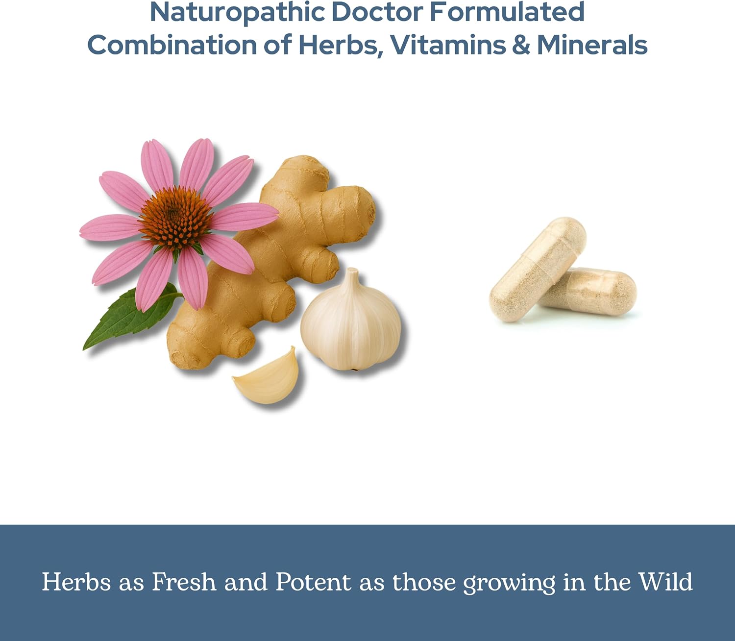 Eclectic Herb Organic Vitabiotic Capsules – Immune Support Herbal Multivitamin – 750 mg, 150 Count