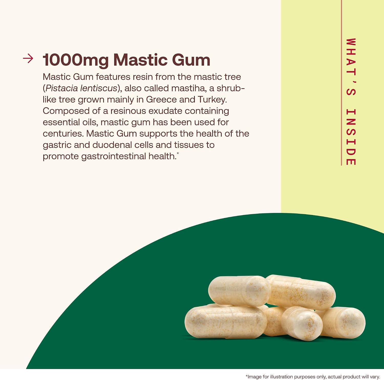 Jarrow Formulas Mastic Gum 1000 mg – 60 Vegetarian Capsules