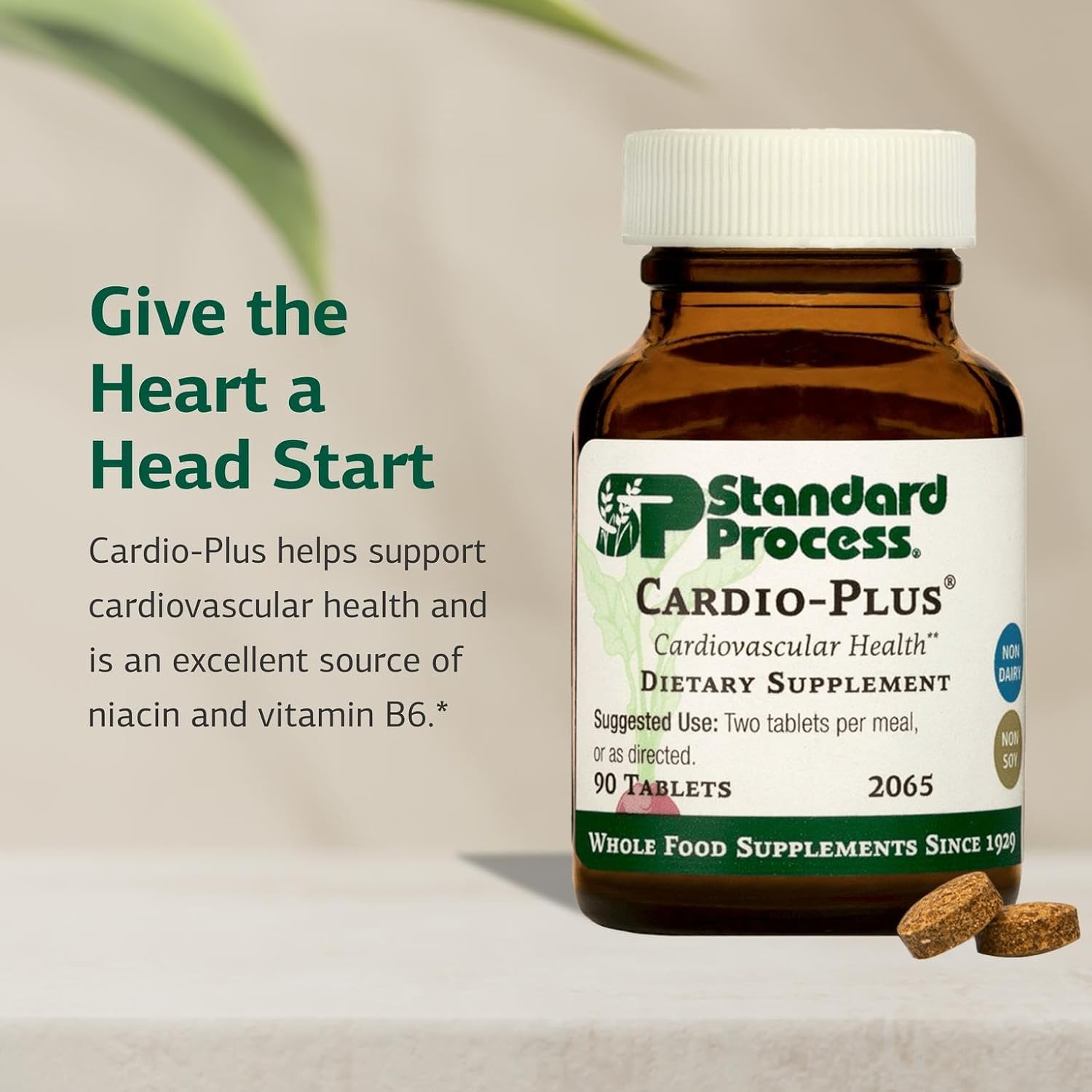 Standard Process Cardio-Plus – Antioxidant Support & Heart Health Supplement – 90 Tablets